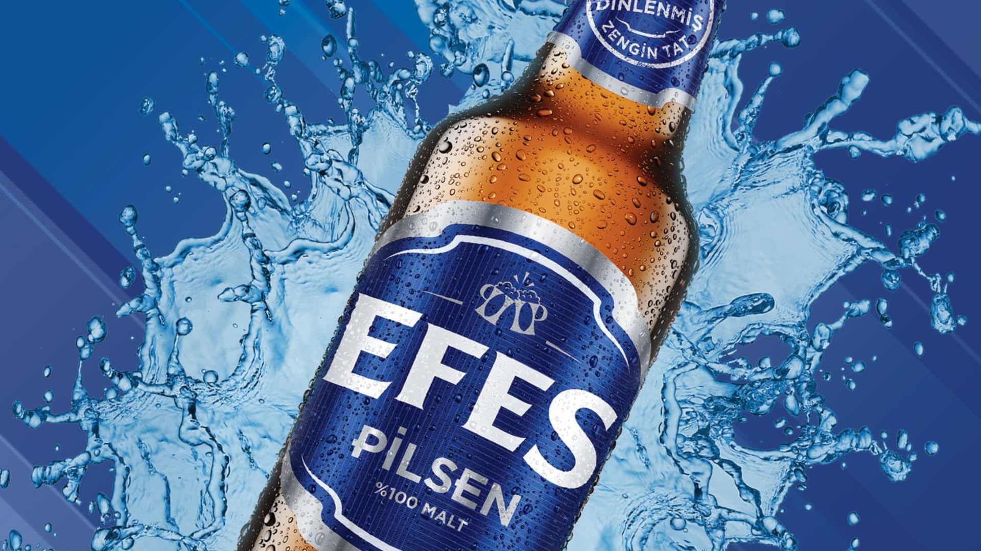 Efes Pilsen ABinBEV B2B Loyalty Program